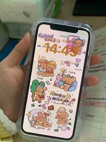 iPhone X