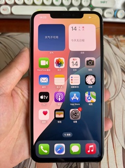 iPhone X